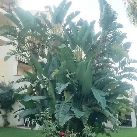 Apartment Casa Belmonte 2bed 2bath Garden Marbella